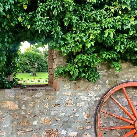 Molinaccio Penna Nera * Massa Martana