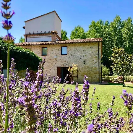 Molinaccio Penna Nera Villa *